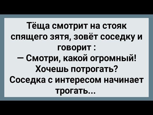 Теща Смотрит На Стояк Спящего Зятя! Сборник Свежих Анекдотов! Юмор!