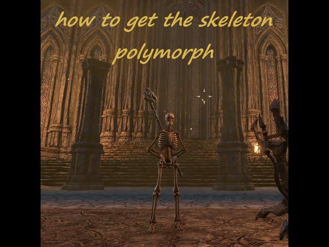 Eso skeleton polymorph how to get it Full Quest