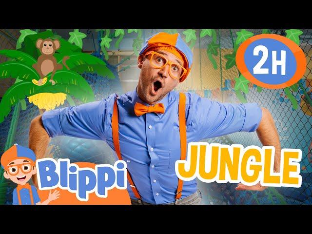 Blippi's Jungle Gym Adventures  Blippi Educational Kids Videos | After School Club