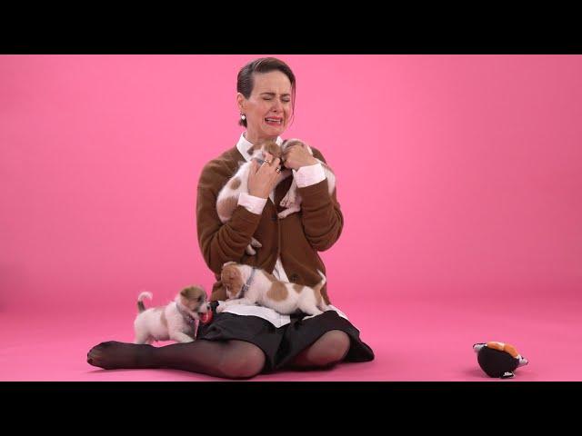 Sarah Paulson: The Puppy Interview