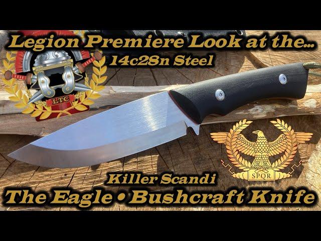 The Eagle Full Tang Scandi Bushcraft knife in 14c28n Steel