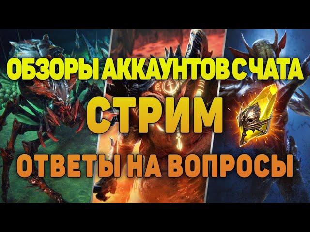 Стрим. Обзор аккаунтов из чата - Raid Shadow Legends Verdan