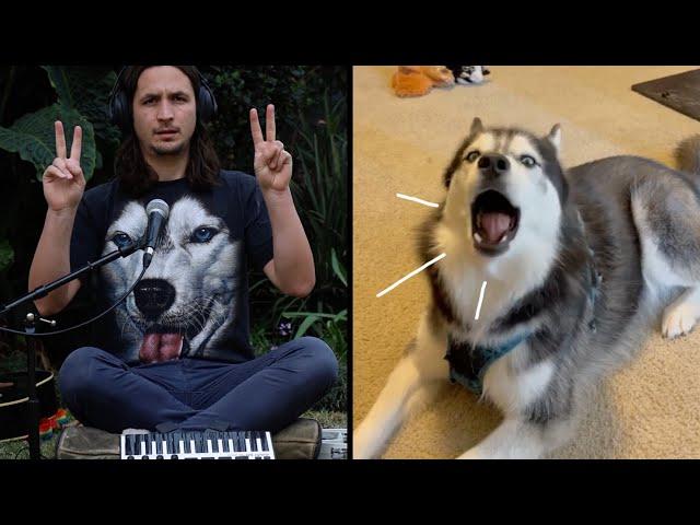 The Kiffness X Haiku The Husky - Ancient Husky Melody