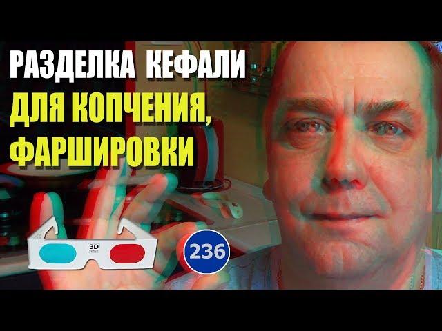 3D stereo red-cyan ЛайфХак Разделка кефали для копчения или фаршировки. Мальковский Вадим