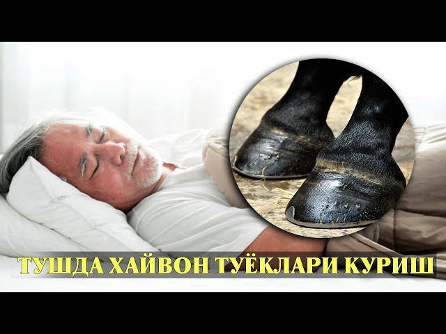 Туш табири - Тушда Хайвон туёкларини куриш