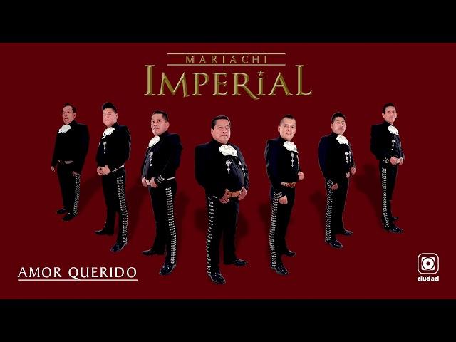 Mariachi Imperial Oficial - Amor Querido