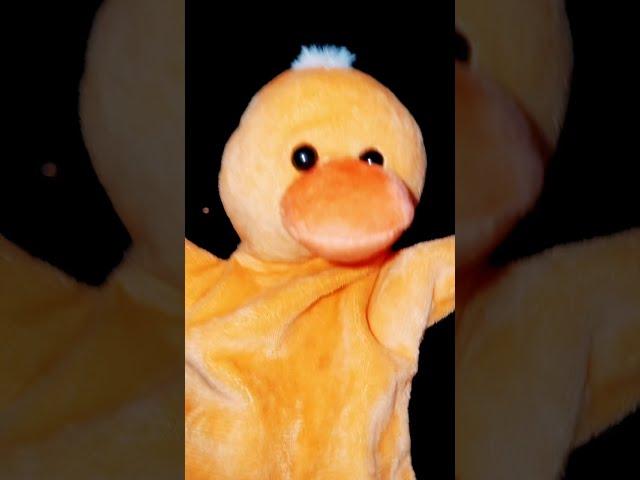 #DUCKSTER