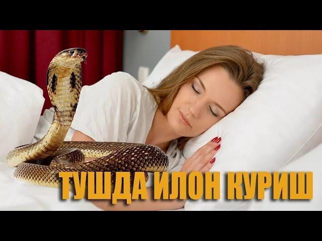 Tushda ilon koʻrish yaxshilikkami? Тушда илон кўрсангиз нима бўлишин билиб олинг туш табири