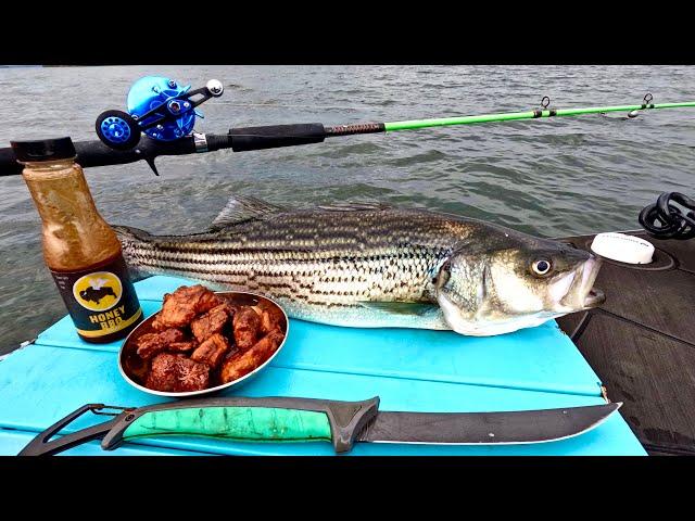 Making STRIPER WINGS on the Boat - Catch n' Cook!