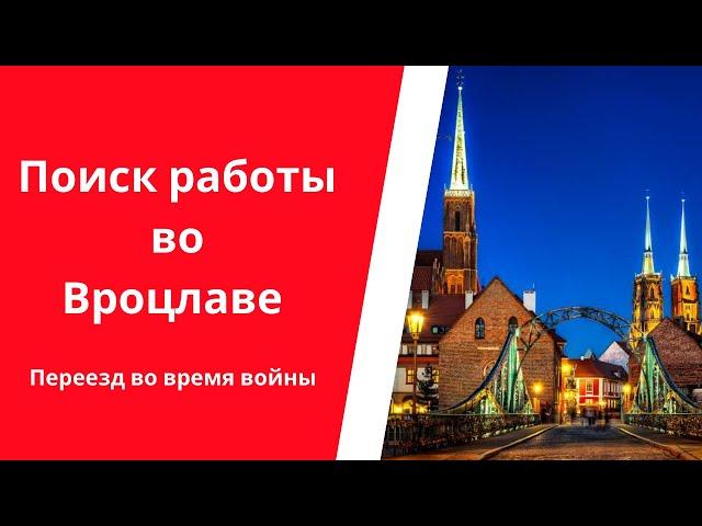 Переезд во время войны | Поиск работы во Вроцлаве (реальный опыт)