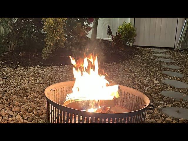 Basenji Adventures fire pit LIVE!