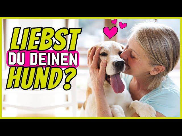 7 Dinge, die du täglich tust, wenn du deinen Hund liebst 