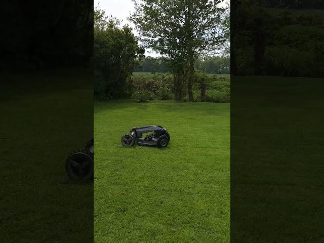 Ecoflow Blade robotic lawnmower, obstacle avoidance in action!!