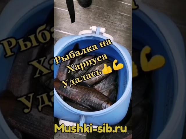 #1 Рыбалка на Хариуса \Отличный улов\Уловистые приманки