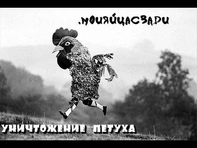 моияйцасзади - песня про metal.wmv