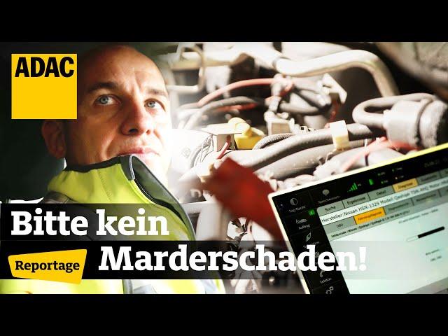 ADAC im Einsatz: „Ich verkaufe das Auto!“  Panne nervt Autobesitzerin, Gelber Engel gibt alles