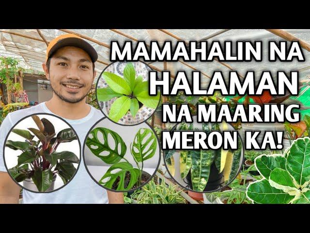 MGA MAMAHALIN NA HALAMAN NA MAARING MERON KA