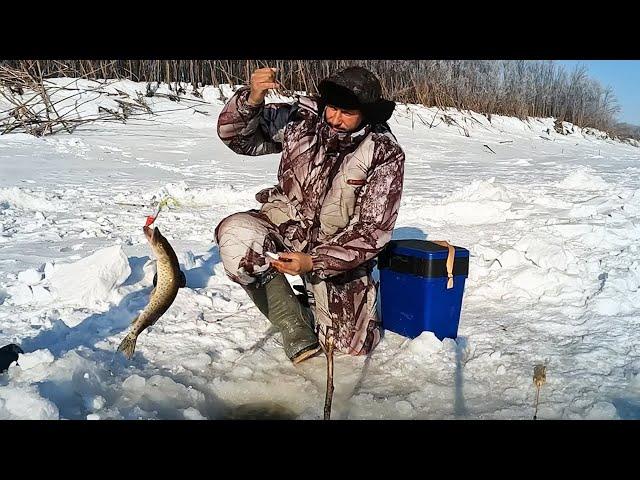 РЫБАЛКА НА ЩУКУ. Первая рыбалка на Амуре на щуку. Зимняя рыбалка на щуку.