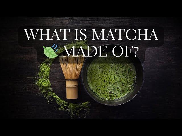 What is Matcha Made of?  Exploring How is Matcha Made