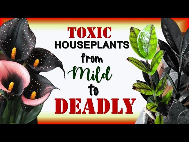 The Ultimate Houseplant Toxicity Index: Keep Your Home Safe | Poisonous Houseplants| Herb Stories