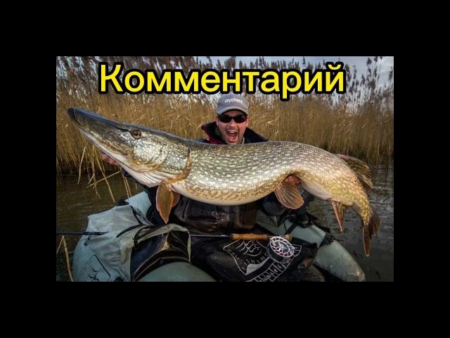 Что за УЛОВ? Такие РЫБИНЫ - настоящая МЕЧТА любого рыбака #рыбалка #рыба #fishing #щука #карп #лещ