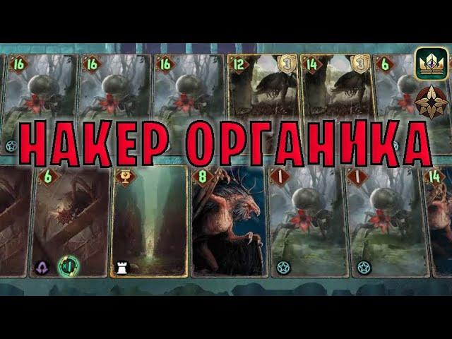 GWENT | НАКЕР ОРГАНИКА (Стая главоглазов) — гайд | Гвинт Патч 11.4