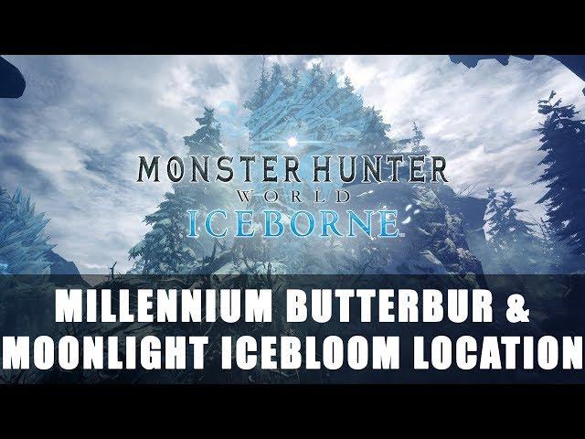 MHW Iceborne: Millennium Butterbur, Moonlight Icebloom & Icebloom Location