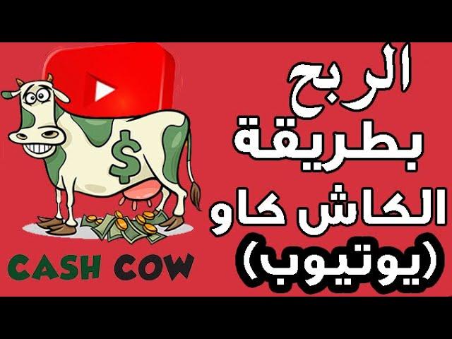 ماي هي طريقة ال cash cow للربح من اليوتيوب؟