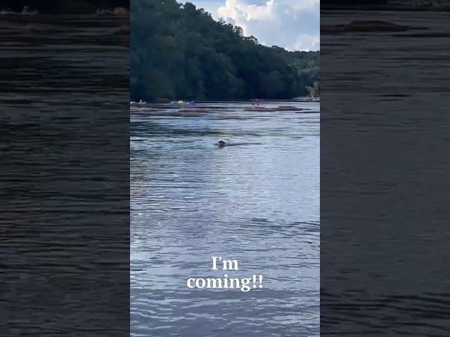 Tucker at the Lake