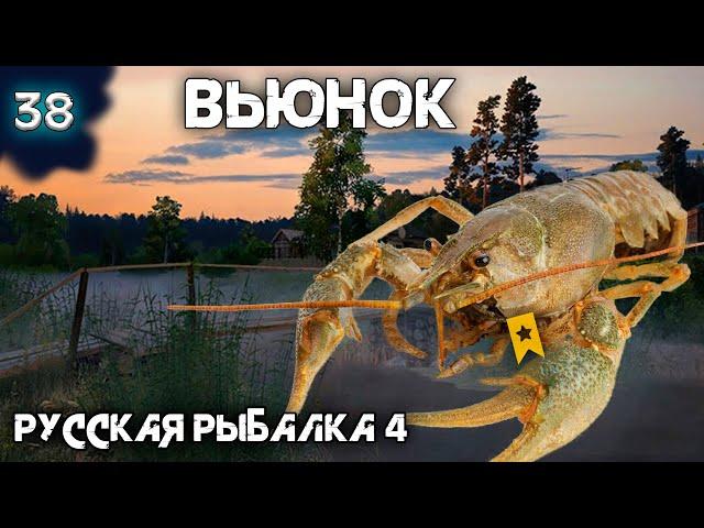 Русская рыбалка 4 - Трофейный Рак на Вьюнке ! [#38]