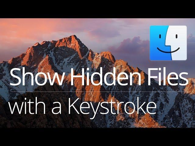 How to Show Hidden Files on Mac