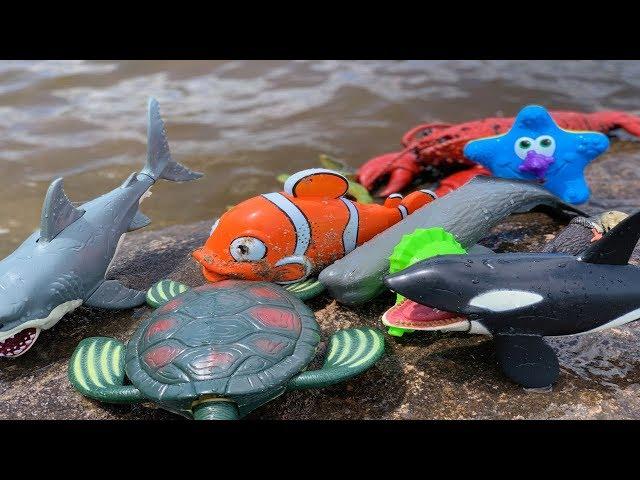 Dive into Summer Fun!  Sea Animal Toys at the River - Learn & Play