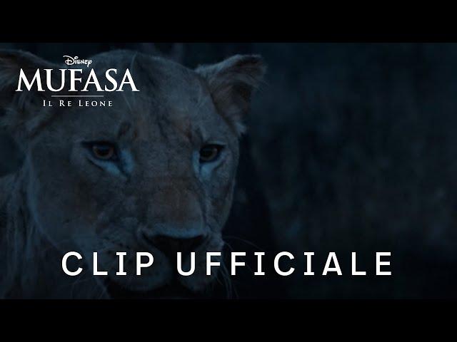 Mufasa: Il Re Leone | Clip ufficiale