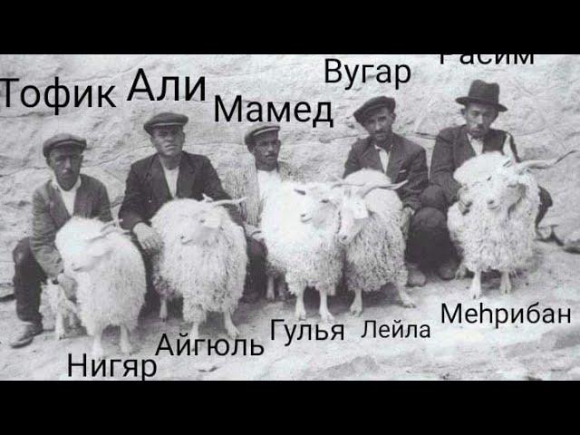 Алтайцы в замешательстве...