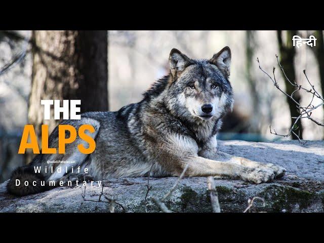 The Alps - Wildest Europe । Full Documentary in Hindi