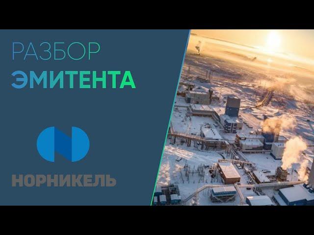 Обзор компании «ГМК «Норильский никель»