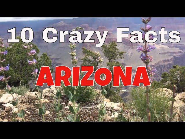 10 Crazy Facts About Arizona #arizona