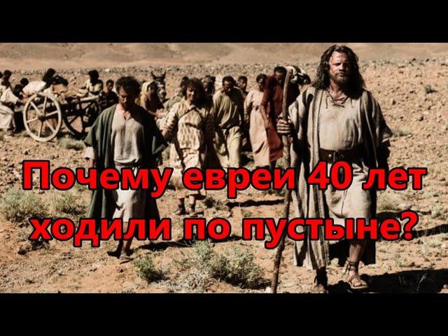 Почему евреи 40 лет ходили по пустыне? Реб Леви Артюшкин