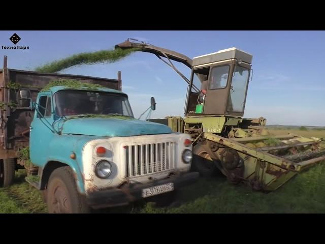 As in Soviet times, harvested silage. Like 30 years ago.