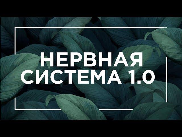 Что такое нервная система 1.0 | ЕГЭ Биология | Даниил Дарвин