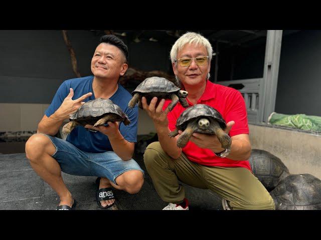 KETIKA DUA SUHU REPTILE BERTEMU, BAHASA LATIN KELUAR SEMUA