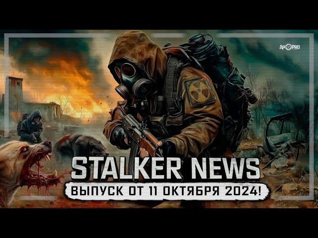 STALKER NEWS (Выпуск от 11 октября, 2024)