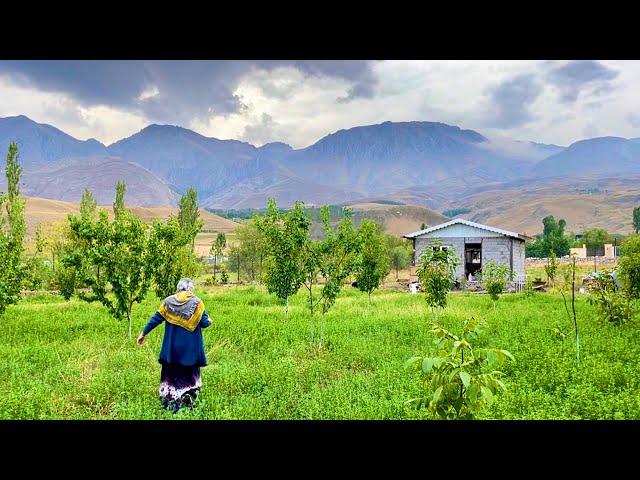 A Glimpse into Rural Life in Iran! ️ | A Workday Completing Sodebeh's Rural House 