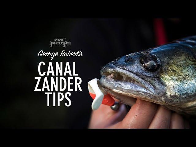 ***FOX RAGE TV*** CANAL ZANDER TIPS