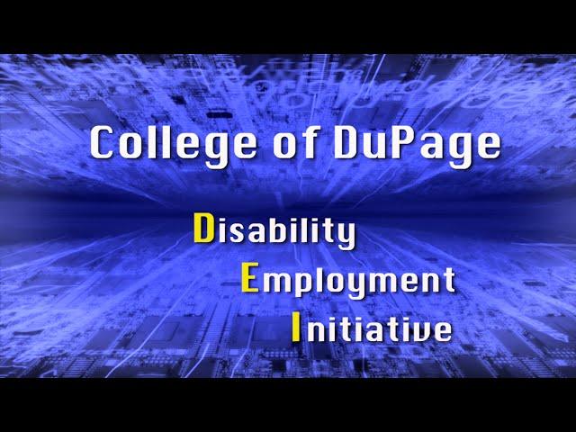 Disability Employment Initiative Project