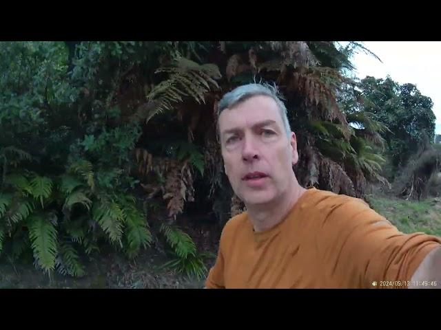 Rotorua Fairy Springs cut#2