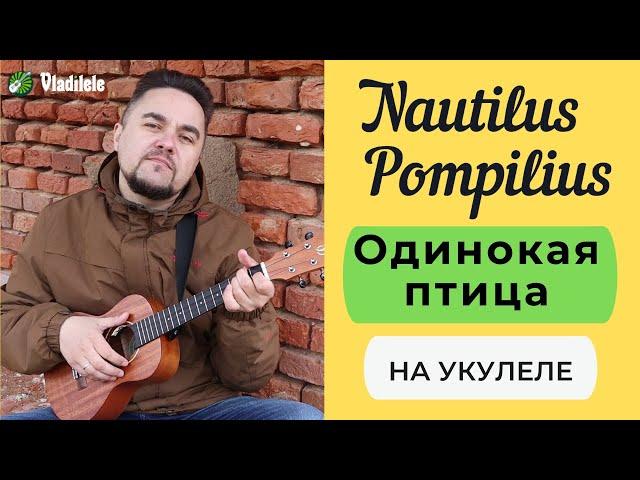 NAUTILUS POMPILIUS - ОДИНОКАЯ ПТИЦА укулеле кавер