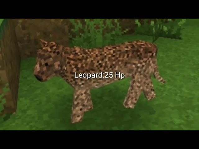 Survivalcraft 2 All Animals Hp