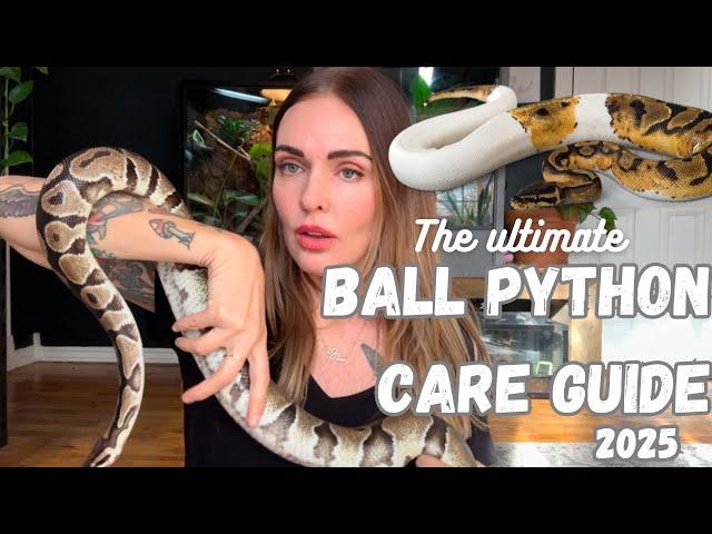 Ultimate BALL PYTHON Care Guide- (2025 Edition) Get them to THRIVE! 