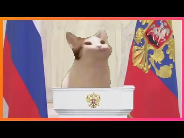 Кот широко открывает рот в ГОСДУМЕ (pop cat) | мем 2020